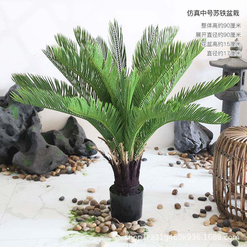 仿铁真苏室芭蕉树龙血树盆栽QCO内酒店商场造景仿真绿植装饰摆树