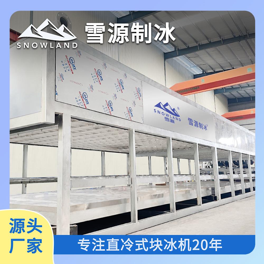 雪源30吨100kg冰工厂车间节冰能块机自用ZL30T-R2动脱技术环保无