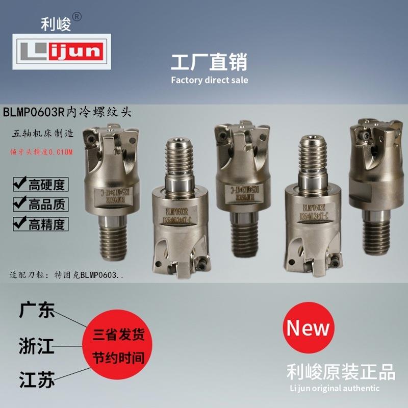 2019新款BLMP0603R快进给锁牙头 钨钢抗震杆螺纹头双面铣刀片刀杆