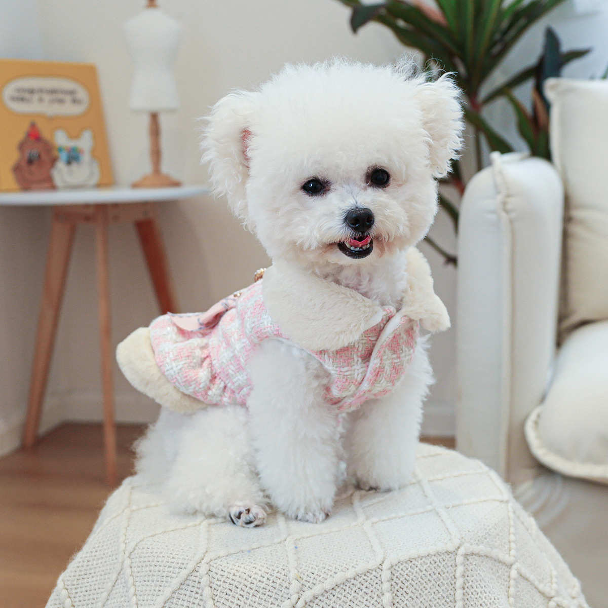 宠物小狗猫咪衣服秋冬新款加厚呢子裙泰迪比熊博美小型犬狗狗衣服