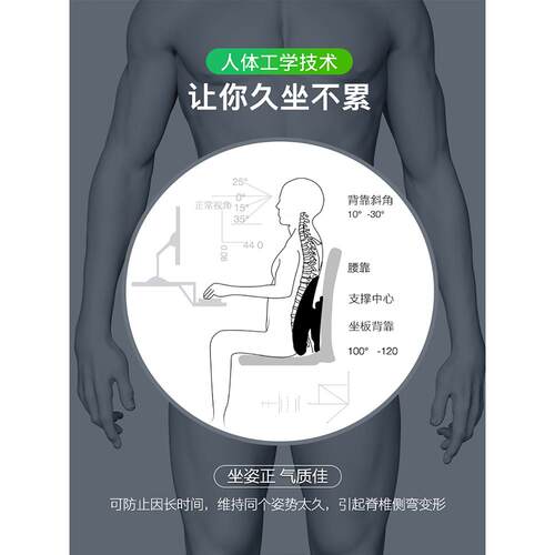 ft人体F76T9SJ6工学腰垫腰靠办室背椅久坐护腰透公座椅腰靠枕腰枕