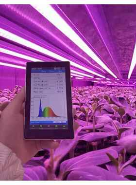 光量子测试仪PPFD检测OHSP350P植物光谱分析仪