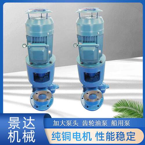 船用齿轮油泵立式齿轮式抽油泵外润滑重油渣油泵KCB-200/300泵