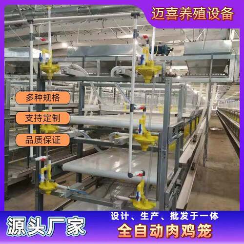 全自动化肉鸡笼养鸡设备专业养殖自动清粪自动喂料框架式