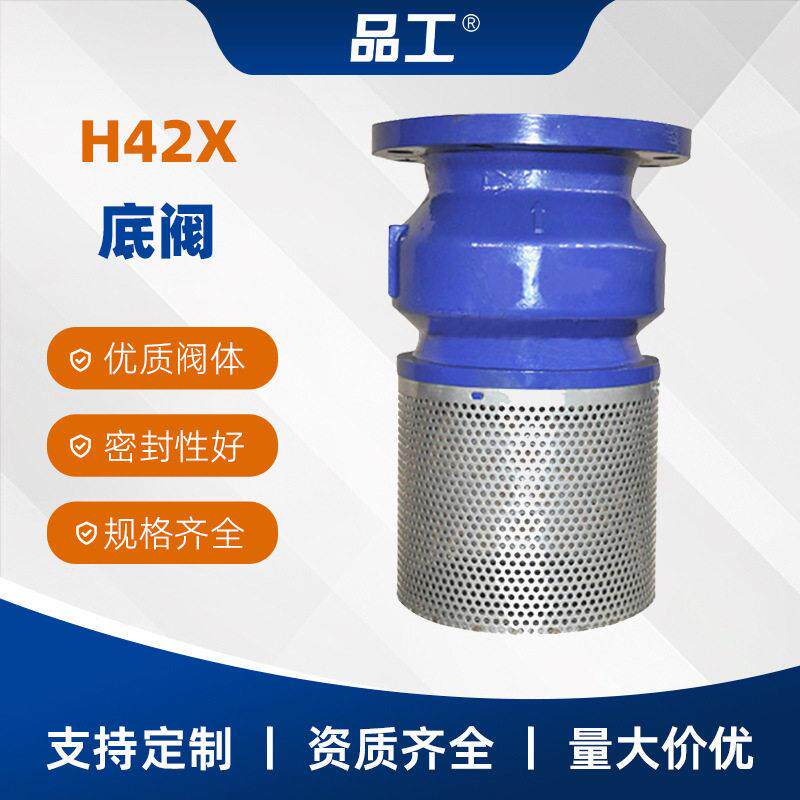 H42X-16Q底阀球墨铸铁材质不锈钢滤网水泵止回阀门DN50-400