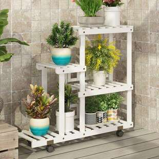 古馆多层阳台植物花架子室内客厅简约碳化木置物架多肉绿萝吊兰爬