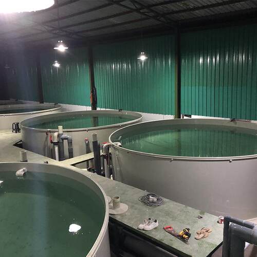 RAS循环水养殖系统养鱼设备室内养殖鱼虾设备