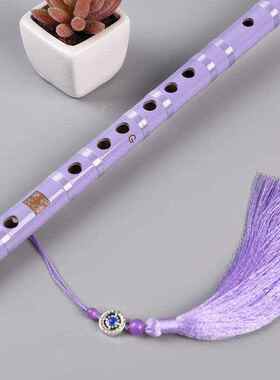 笛子儿童初学横笛一节零基础入门古风efg苦竹笛白紫黑色送挂件