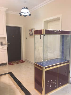 德国德克鱼缸水族箱真实使用体验反馈，不吹不黑点评真相