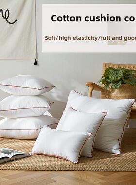 棉枕芯不塌陷或变形45X45垫芯30X50衬垫方枕芯60X60沙发