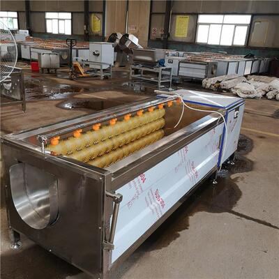 大蒜蔬毛辊去皮能清洗机 多功毛刷果脱皮备ZIY 莲雾毛辊喷淋清设