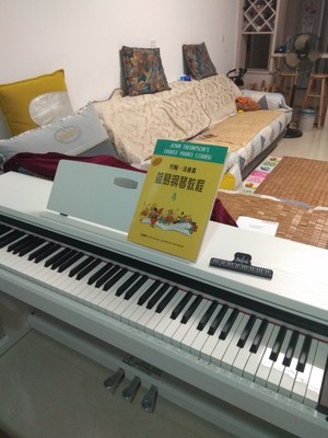 珠江艾茉森V03电钢琴怎么样入手彻底让人失望了是吗