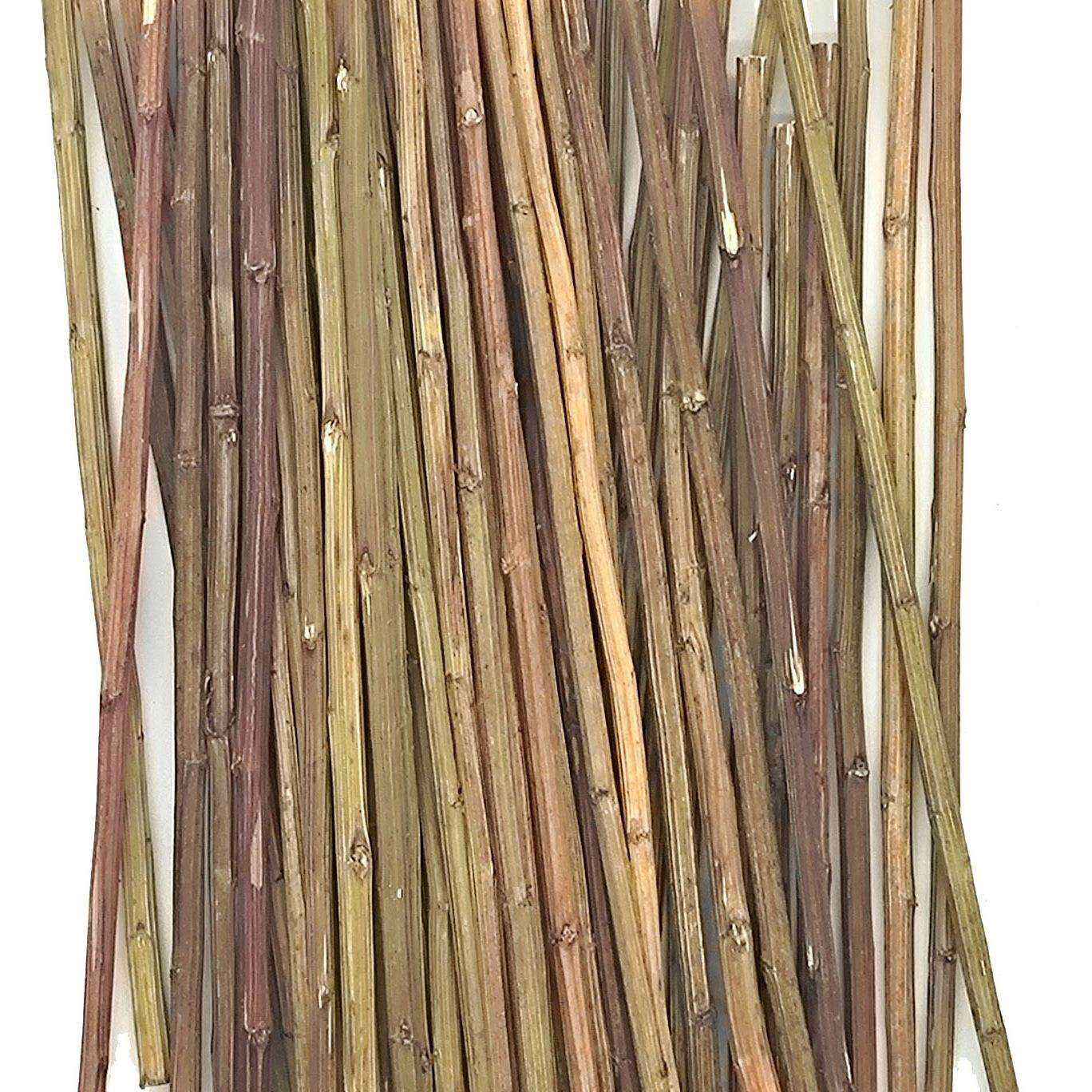 易经文化用品真品文王蓍草50支送5支筹策算筹算工具术数