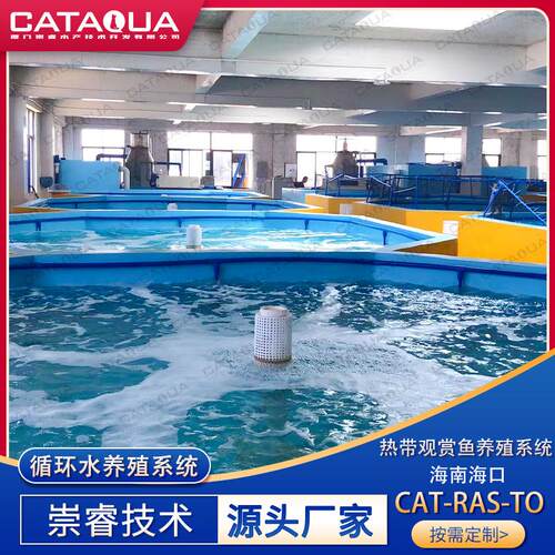 崇睿海南海口热带观赏鱼循环水养殖基地 ras工厂化养殖系统