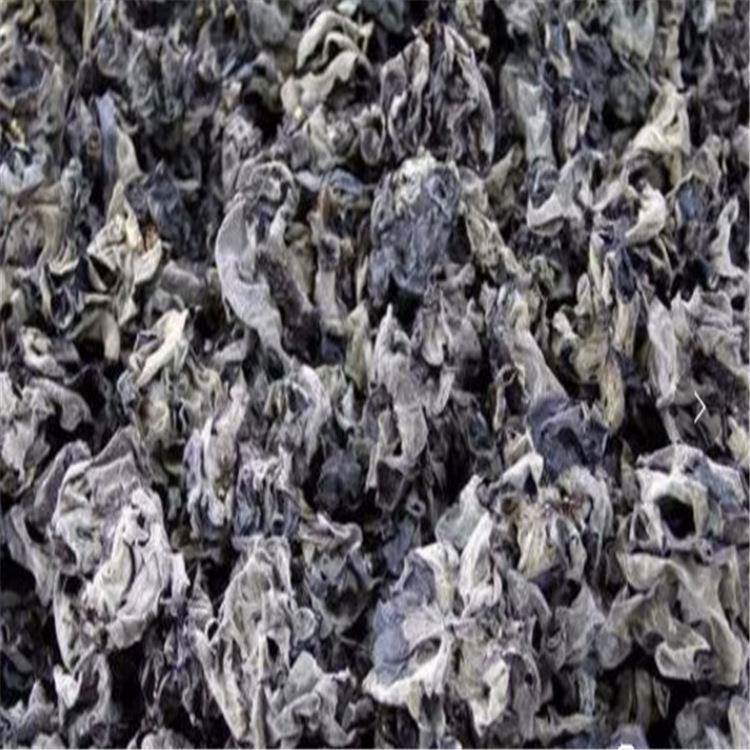 干货除虫设备微波木耳除虫除虫卵农副产品微波灭虫设备