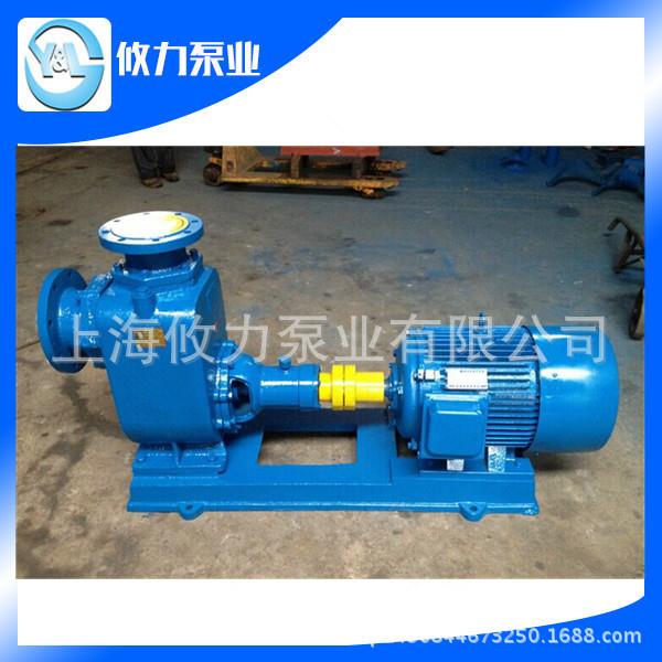 65ZW20-30卧式自吸排污泵ZW型自吸泵自吸污水泵全自动电泵