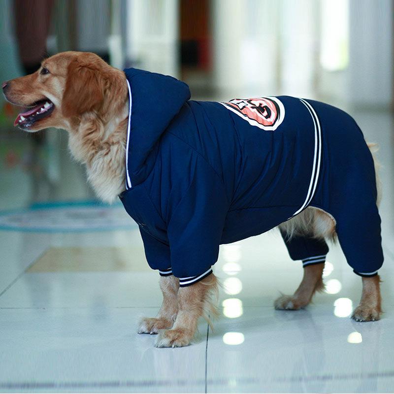 采购产品金色的毛皮衣服,冬天的衣服,加厚的棉衣,拉布拉多中型
