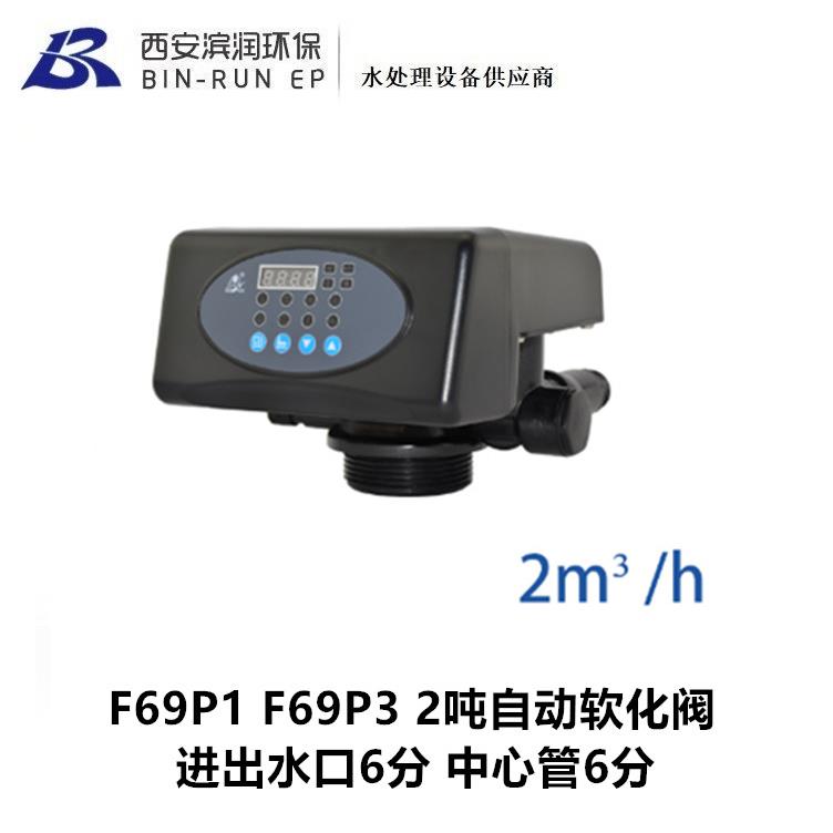 F69P1F69P3润新2吨自动软化阀可带旁通进出水6分中心管6分图片