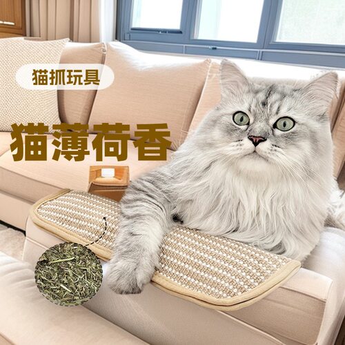 宠物猫薄荷薄荷抱枕狗口腔清洁