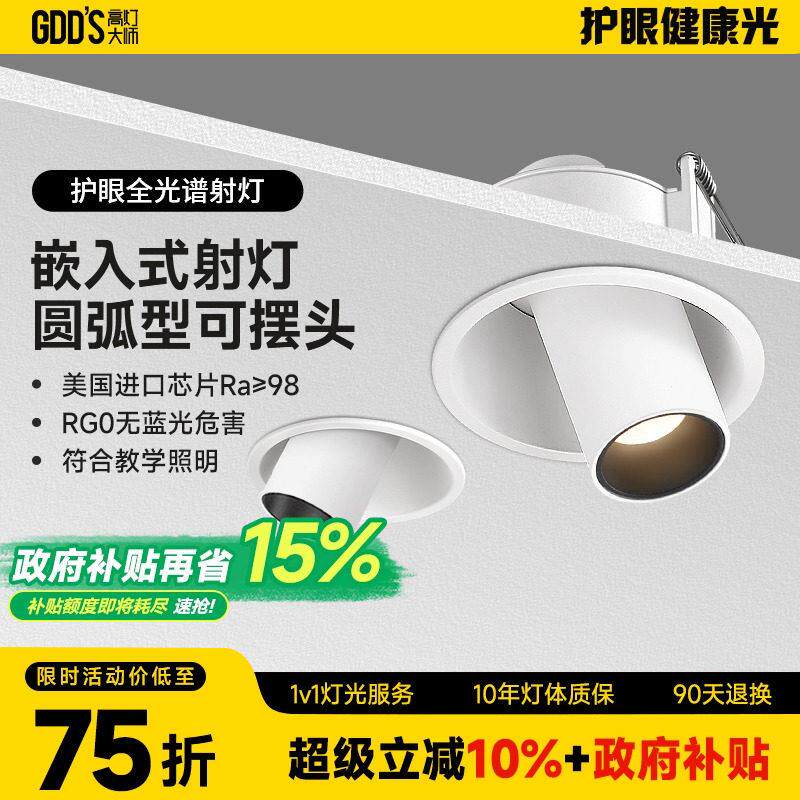 圆型窄边摆头象鼻灯射灯LED万向椭圆双头斗胆灯不可绅缩无主灯