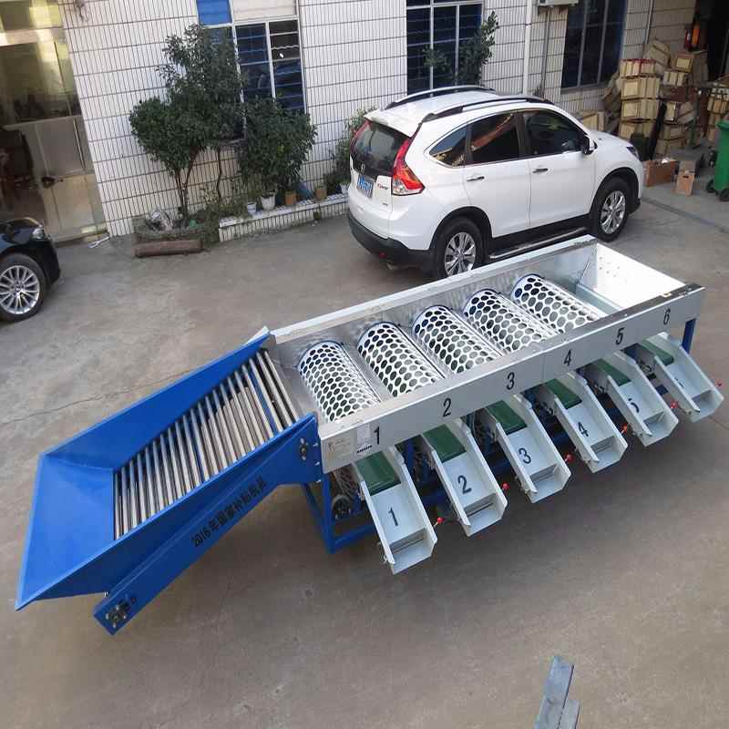 自动大小水果分选机柠檬柑桔桃子分级机圆形果蔬选果机厂家直销