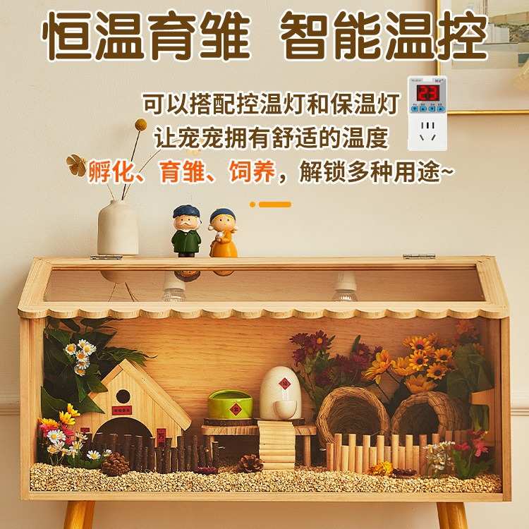 幼全套鸡饲养鸡芦丁芦丁箱专业笼子饲养箱鸡窝保温箱小鸡