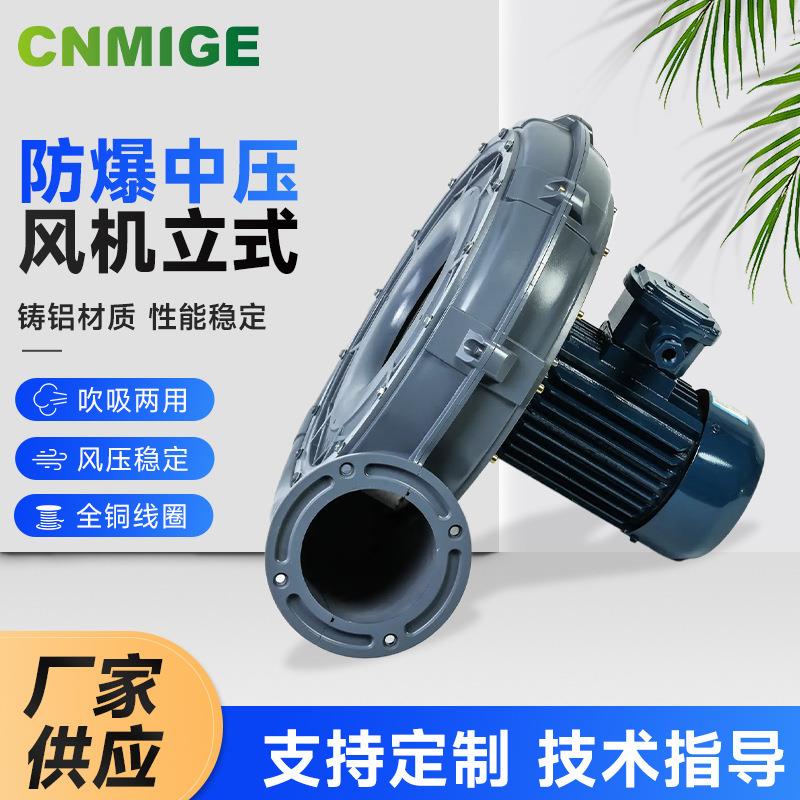 定各种非标鼓风机铝壳铁壳不锈钢耐高温防腐防爆风机厂家