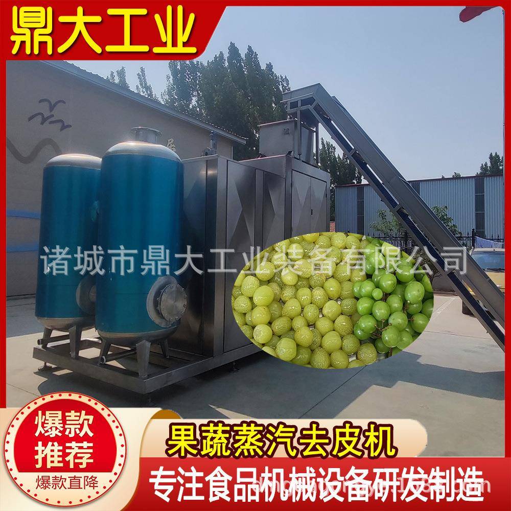 全自动果蔬蒸汽去皮机 葡萄蒸汽剥皮设备 商用葡萄蒸汽爆皮机快速