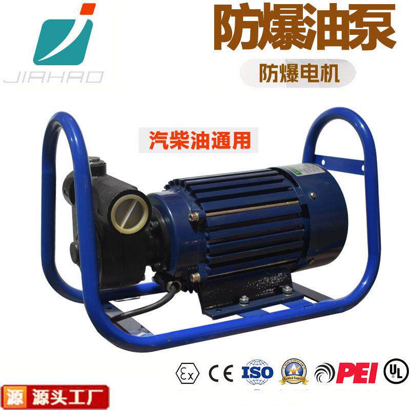 嘉豪新款防爆加油泵220V380V电动抽油泵汽油柴油甲醇多功能油泵