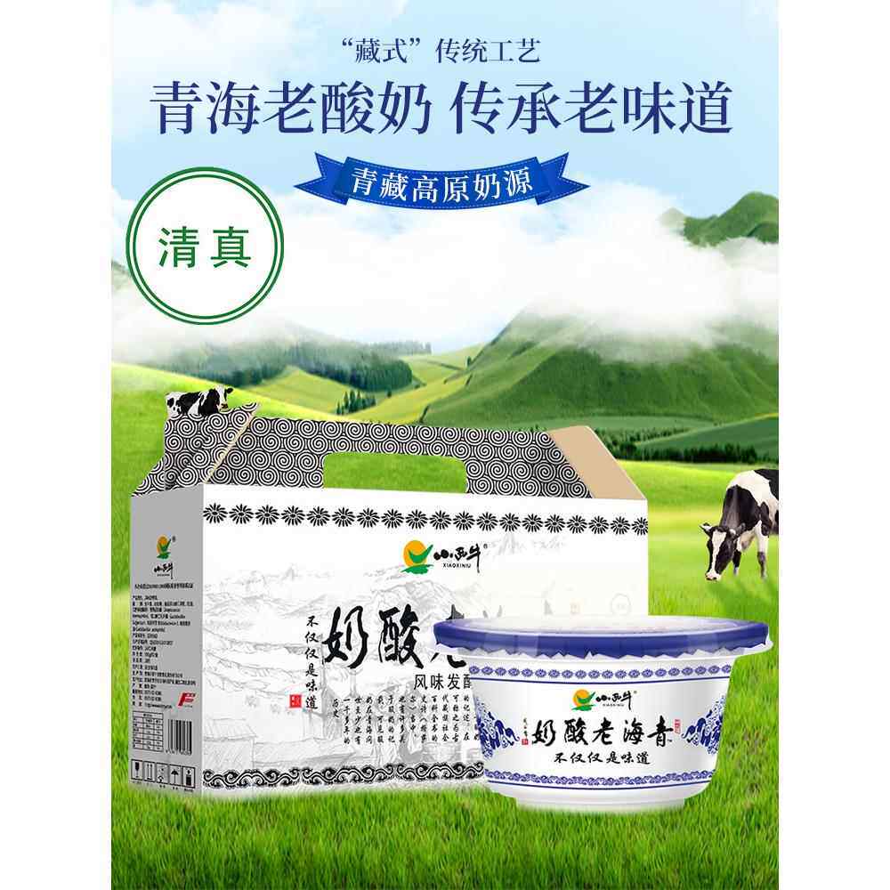 小西牛青海老酸奶清真原味益生菌酸牛奶风味发酵乳150g*12杯整箱