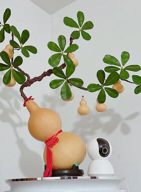天然葫芦摆件招财纳福手工制作发财树客厅玄关办公乔迁开业葫芦树