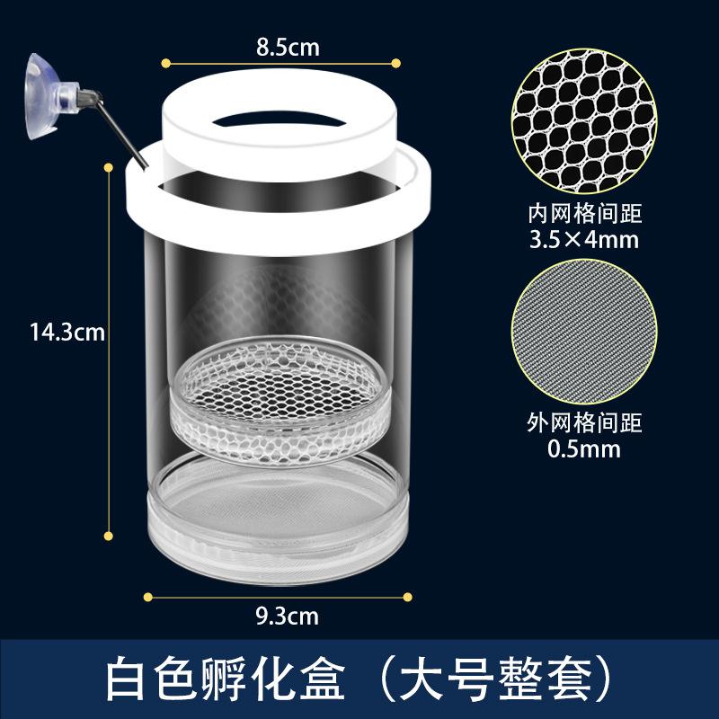 斑马鱼鱼缸鱼缸孵化孔雀孵化器