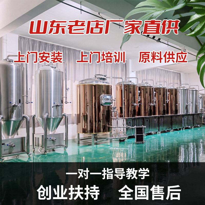 一体化精酿啤酒设备啤酒酿造设备发酵糖化商用精酿啤酒设备