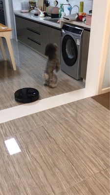 打听下科沃斯T5 Max怎么样？讲一讲看入手真的会失望吗？