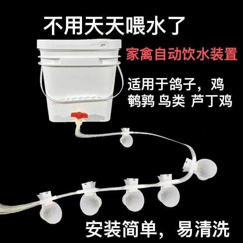 自动喂水器芦丁鸡鸽子饮水一整套喂鸡自动饮水器兔鸡鸭鹌鹑饮水器,宠物/宠物食品及用品,鸟禽喂食器/喂水器,淘宝优惠券,粉丝福利购,淘宝优惠卷