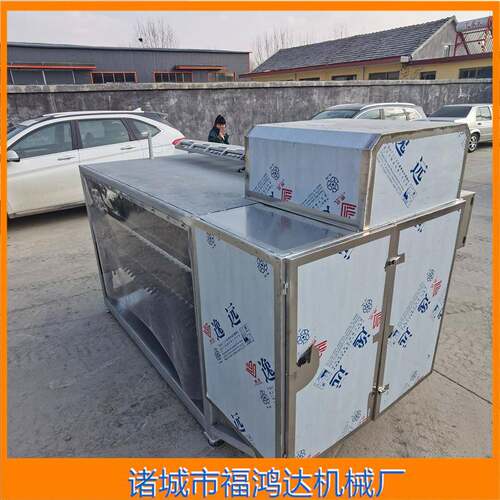 羊打毛机自动入料整羊去毛设备全自动全羊脱毛机