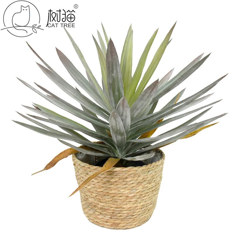 树猫真凤尾兰假树160cm丝兰树大型绿植盆栽树门面装饰龙血树