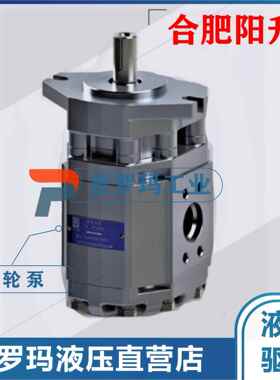 合肥阳升液压齿轮泵CBF-F410/F414/F416/F418/E450-ALPL/ALHL油泵