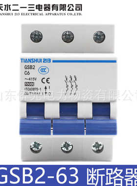厂家直销天水213空气开关GSB2-63 2PC6 10 16 32A 3P63A小型断路