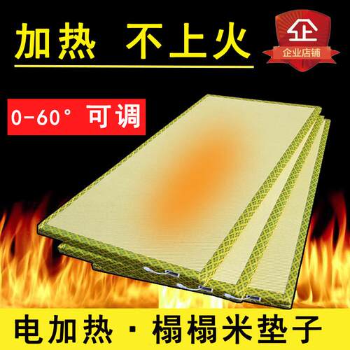 岚舒电加热榻榻米垫子定做踏踏米床垫家用塌塌米地垫椰棕飘窗炕垫
