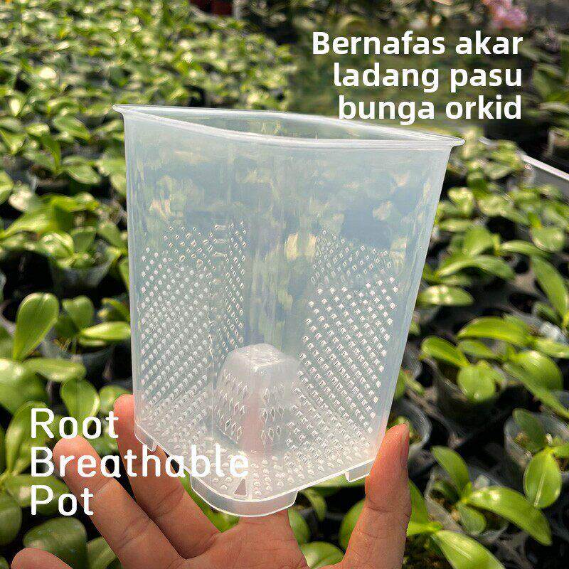 RBP呼吸盆蝴蝶兰专用花盆PP食品级塑料养根控根排水透气多肉花盆图片