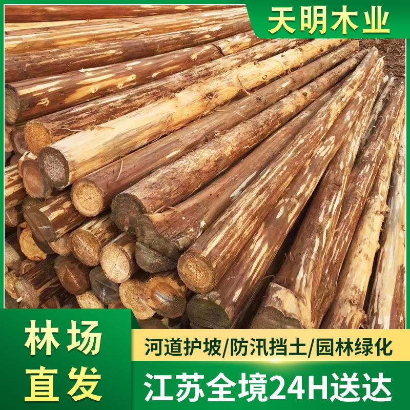 厂家供应防汛木桩 工地河道打桩木防洪防汛木桩土建工程松木桩