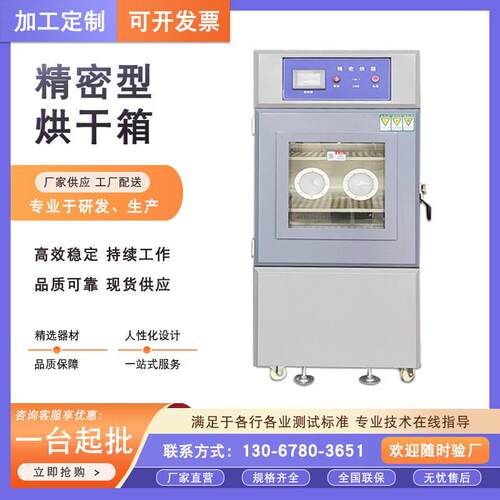 精密烘箱 工业烤箱 电热鼓风干燥箱 食品烤箱