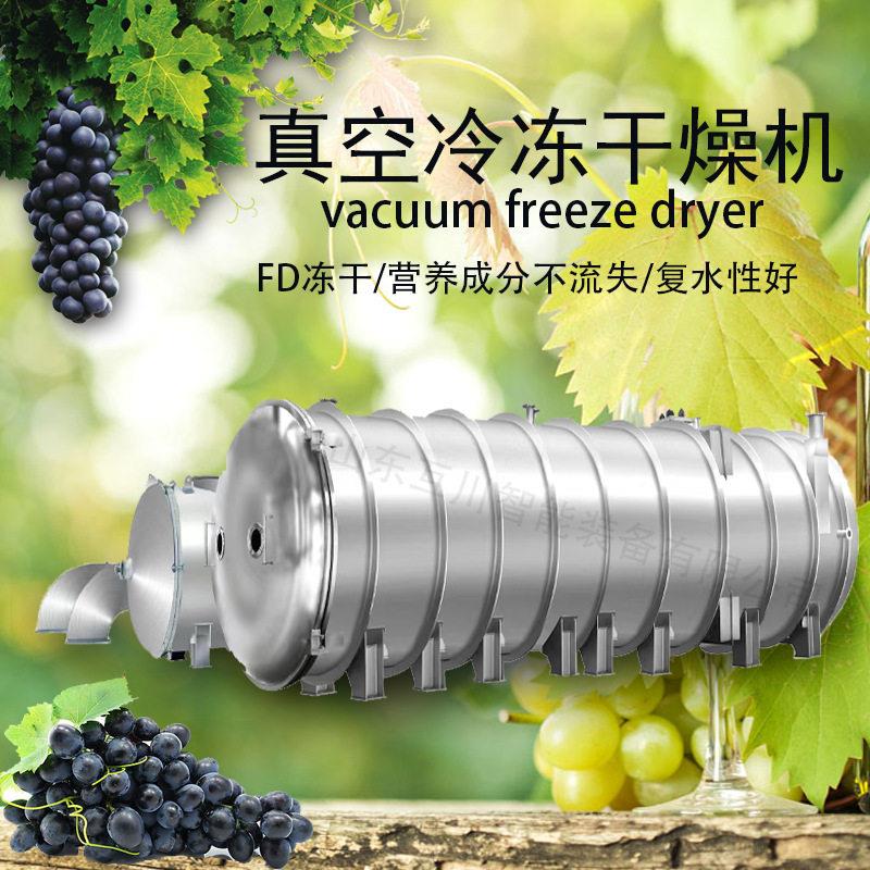 食品真空冻干机商用大型果蔬真空冻结干燥FD成套设备秋葵冻干机