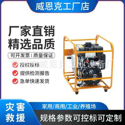 单动汽油机液压泵IZUMIHPE-100S原HPE-2A单动引擎液压泵