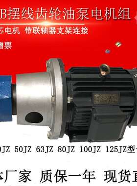 BB-B40JZ/B50JZ BB-B63/B100/B125JZ立卧摆线齿轮油泵电机组380V