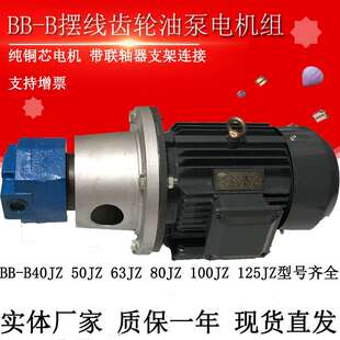 B100 B63 B50JZ B125JZ立卧摆线齿轮油泵电机组380V B40JZ