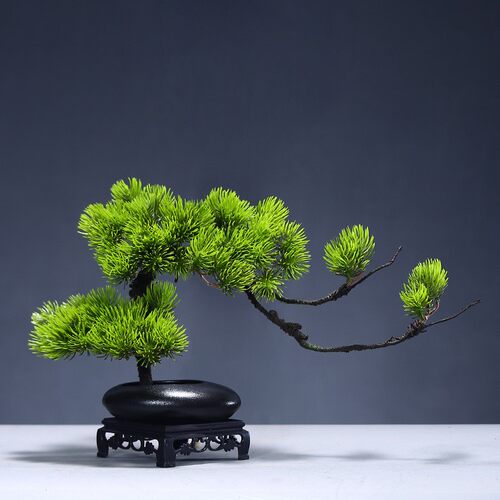 仿迎客盆景小摆真松件古MH00256博架电视柜茶几禅意办公室桌面装