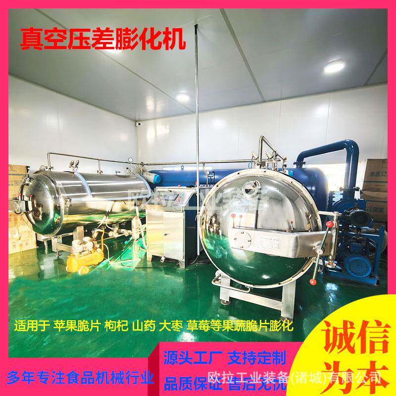 菠萝片真空膨化罐胡萝卜脆片真空膨化机全自动真空果蔬干燥设备