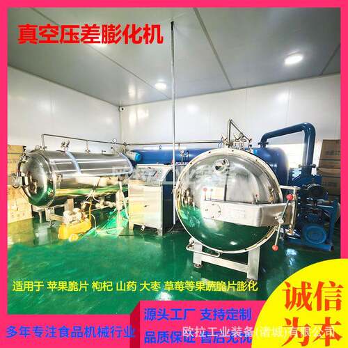 草莓香菇脆真空压差膨化无花果片压差膨化机葡萄干膨化机